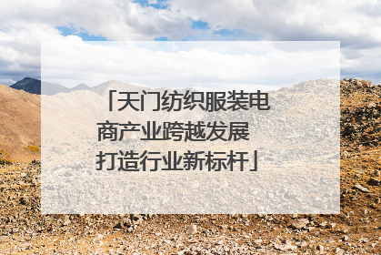 天门纺织服装电商产业跨越发展 打造行业新标杆