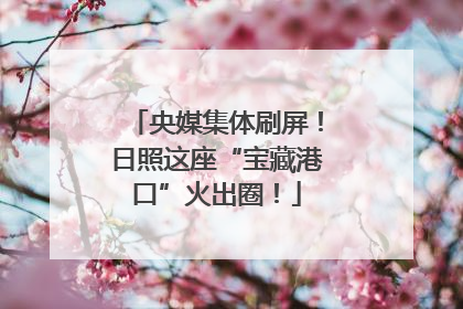 央媒集体刷屏！日照这座“宝藏港口”火出圈！