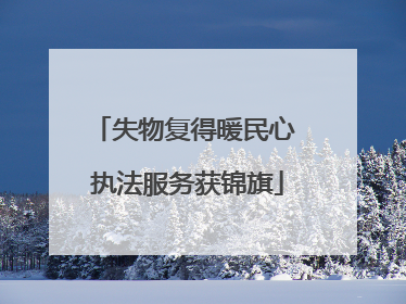 失物复得暖民心 执法服务获锦旗