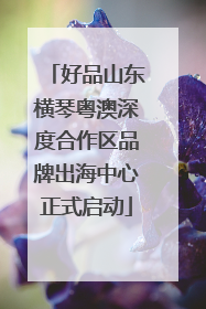 好品山东横琴粤澳深度合作区品牌出海中心正式启动