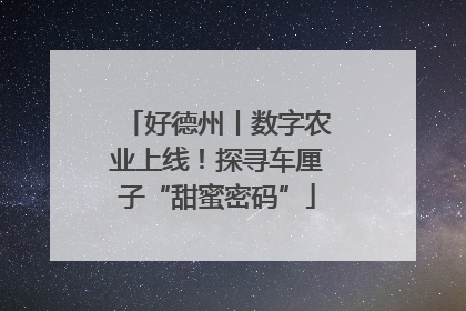 好德州丨数字农业上线！探寻车厘子“甜蜜密码”