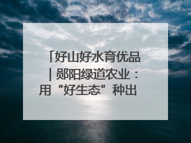 好山好水育优品｜郧阳绿道农业：用“好生态”种出“好味道”