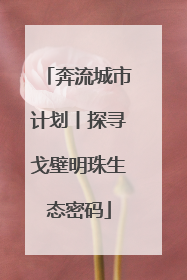 奔流城市计划丨探寻戈壁明珠生态密码