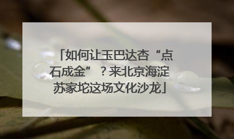 如何让玉巴达杏“点石成金”？来北京海淀苏家坨这场文化沙龙