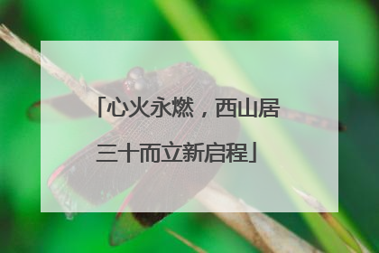 心火永燃，西山居三十而立新启程