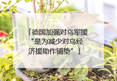 德国加强对乌军援 “是为减少对乌经济援助作铺垫”