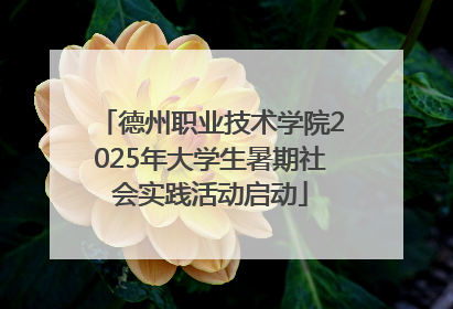 德州职业技术学院2025年大学生暑期社会实践活动启动