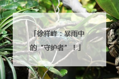 徐祥峰：暴雨中的“守护者”！