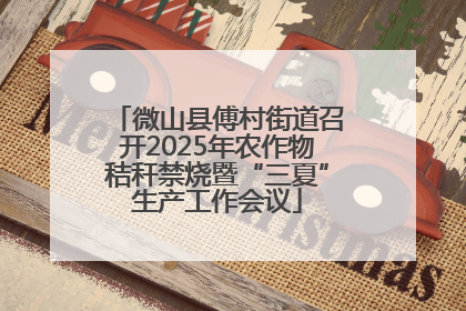 微山县傅村街道召开2025年农作物秸秆禁烧暨“三夏”生产工作会议