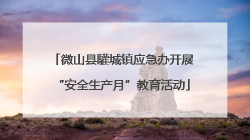 微山县驩城镇应急办开展“安全生产月”教育活动