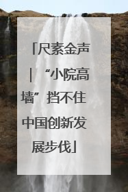 尺素金声｜“小院高墙”挡不住中国创新发展步伐