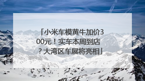 小米车模黄牛加价300元！实车本周到店？大湾区车展将亮相