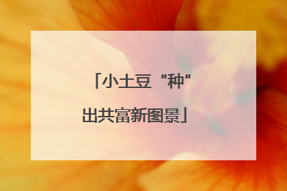 小土豆“种”出共富新图景