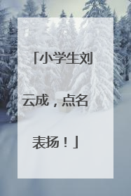小学生刘云成，点名表扬！