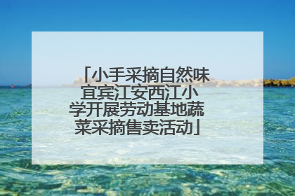 小手采摘自然味 宜宾江安西江小学开展劳动基地蔬菜采摘售卖活动