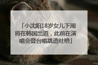 小沈阳18岁女儿下周将在韩国出道，此前在演唱会登台唱跳遭吐槽