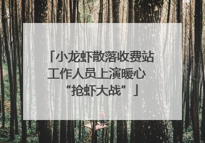 小龙虾散落收费站 工作人员上演暖心“抢虾大战”