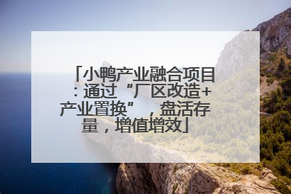 小鸭产业融合项目：通过“厂区改造+产业置换”，盘活存量，增值增效