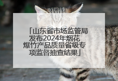 山东省市场监管局发布2024年烟花爆竹产品质量省级专项监督抽查结果
