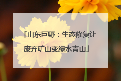 山东巨野：生态修复让废弃矿山变绿水青山