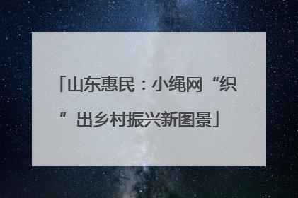 山东惠民：小绳网“织”出乡村振兴新图景