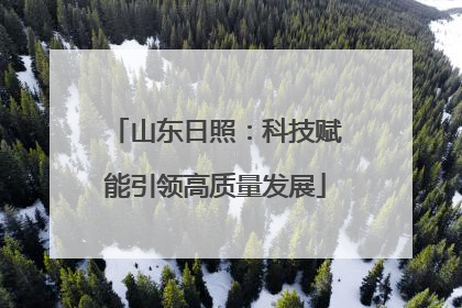 山东日照：科技赋能引领高质量发展