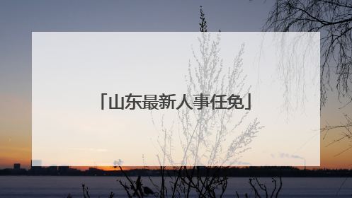 山东最新人事任免