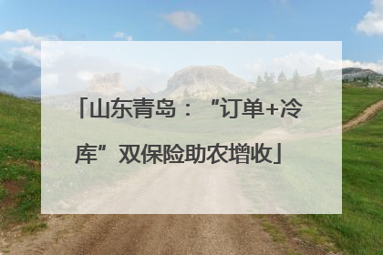 山东青岛：“订单+冷库”双保险助农增收