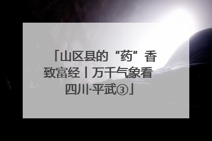 山区县的“药”香致富经丨万千气象看四川·平武③