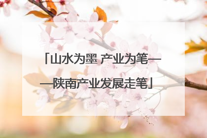 山水为墨 产业为笔——陕南产业发展走笔
