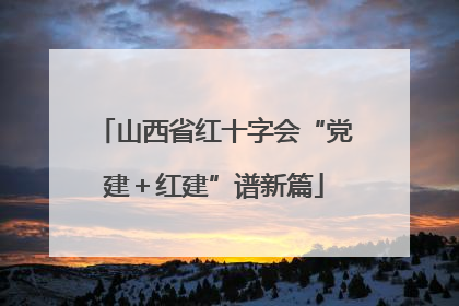 山西省红十字会“党建＋红建”谱新篇
