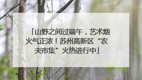 山野之间过端午，艺术烟火气正浓！苏州高新区“农夫市集”火热进行中