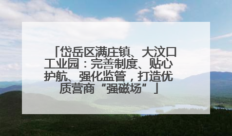 岱岳区满庄镇、大汶口工业园：完善制度、贴心护航、强化监管，打造优质营商“强磁场”