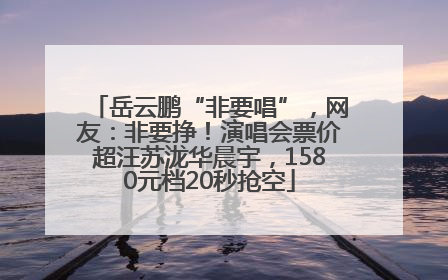 岳云鹏“非要唱”，网友：非要挣！演唱会票价超汪苏泷华晨宇，1580元档20秒抢空