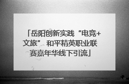 岳阳创新实践“电竞+文旅” 和平精英职业联赛嘉年华线下引流