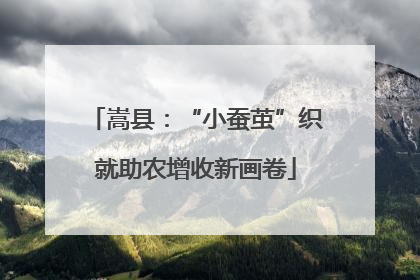 嵩县：“小蚕茧”织就助农增收新画卷