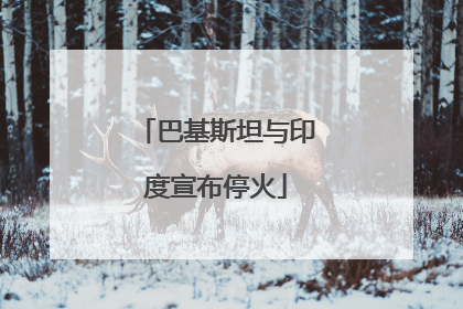 巴基斯坦与印度宣布停火