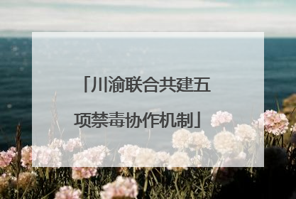 川渝联合共建五项禁毒协作机制