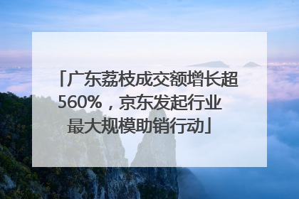 广东荔枝成交额增长超560%，京东发起行业最大规模助销行动