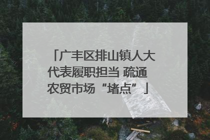 广丰区排山镇人大代表履职担当 疏通农贸市场“堵点”