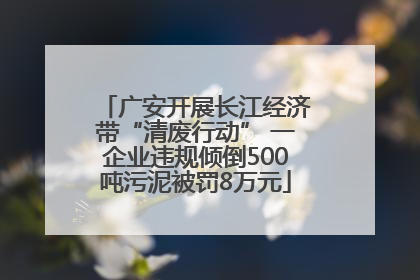 广安开展长江经济带“清废行动” 一企业违规倾倒500吨污泥被罚8万元