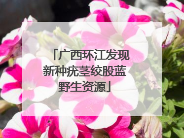 广西环江发现新种疣茎绞股蓝野生资源