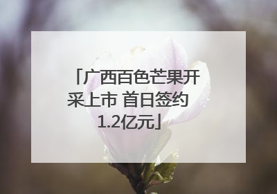 广西百色芒果开采上市 首日签约1.2亿元