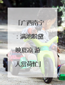 广西南宁：满池粉黛映夏凉 游人赏荷忙