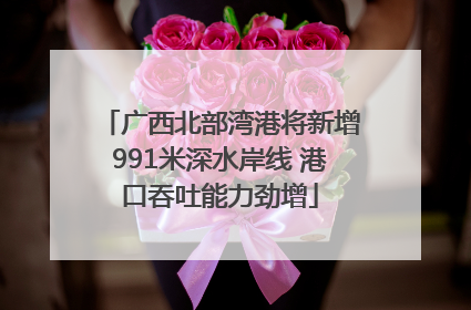 广西北部湾港将新增991米深水岸线 港口吞吐能力劲增
