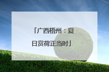 广西梧州：夏日赏荷正当时