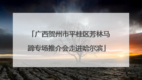 广西贺州市平桂区芳林马蹄专场推介会走进哈尔滨