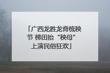 广西龙胜龙脊梳秧节 梯田抬“秧母”上演民俗狂欢