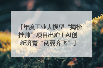 年度工业大模型“揭榜挂帅”项目出炉！AI创新济青“两翼齐飞”