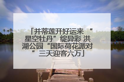 并蒂莲开好运来 “星空牡丹”绽异彩 洪湖公园“国际荷花派对”三天迎客六万